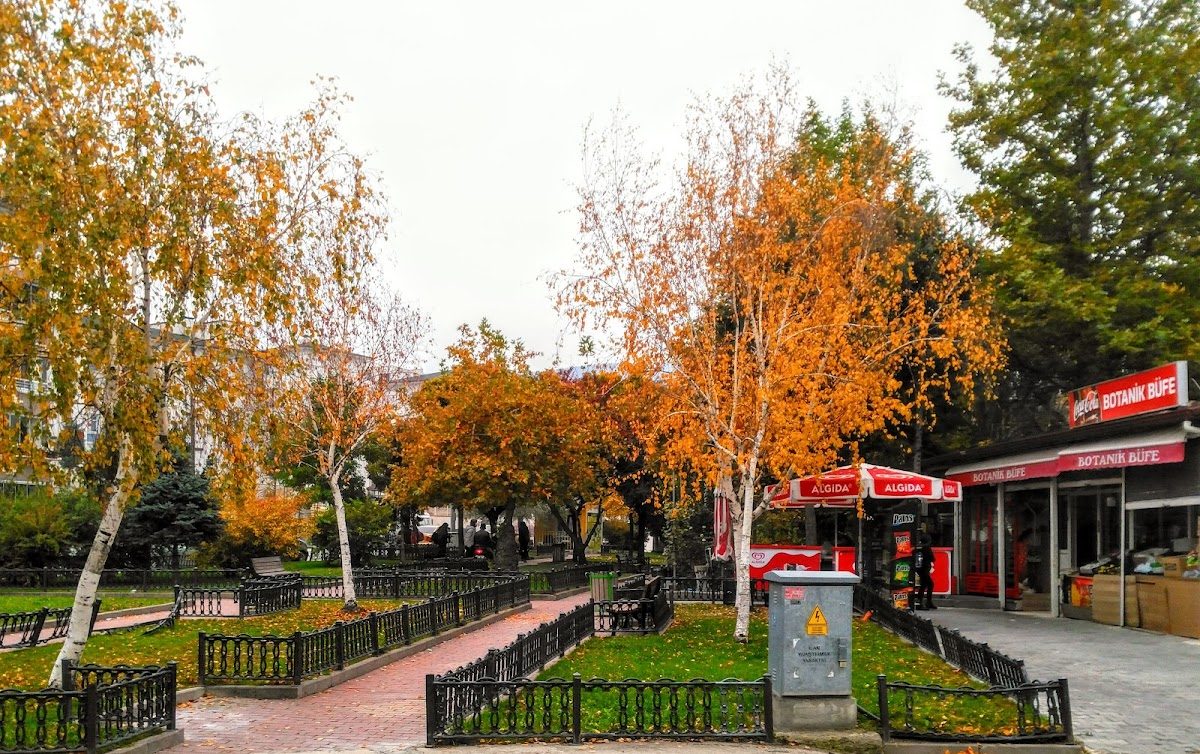 Botanical Park