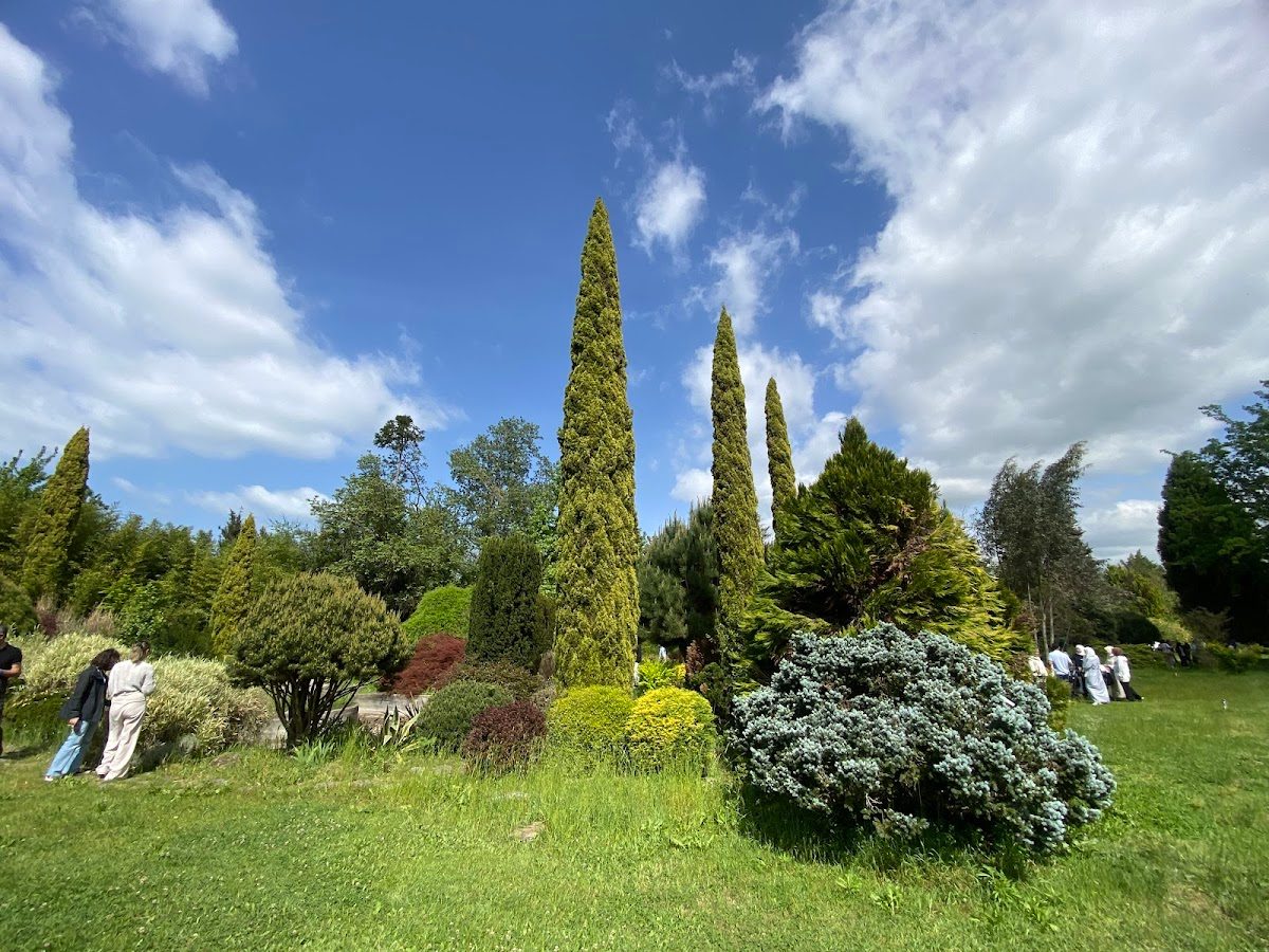 Karaca Arboretum - 3