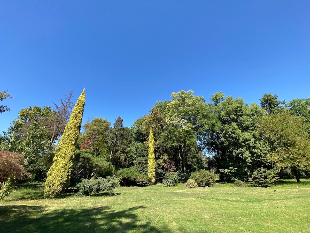 Karaca Arboretum - 6