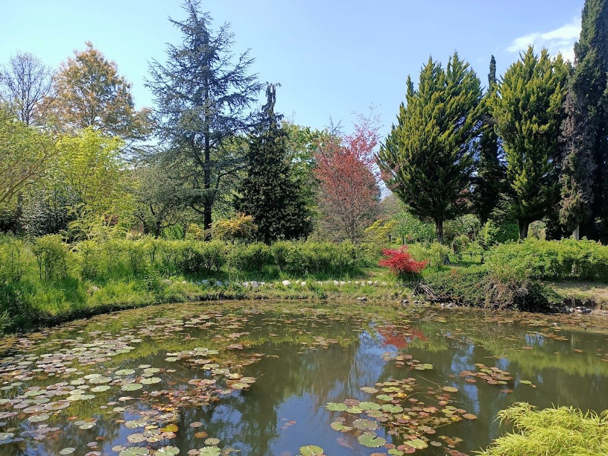 Karaca Arboretum - 7