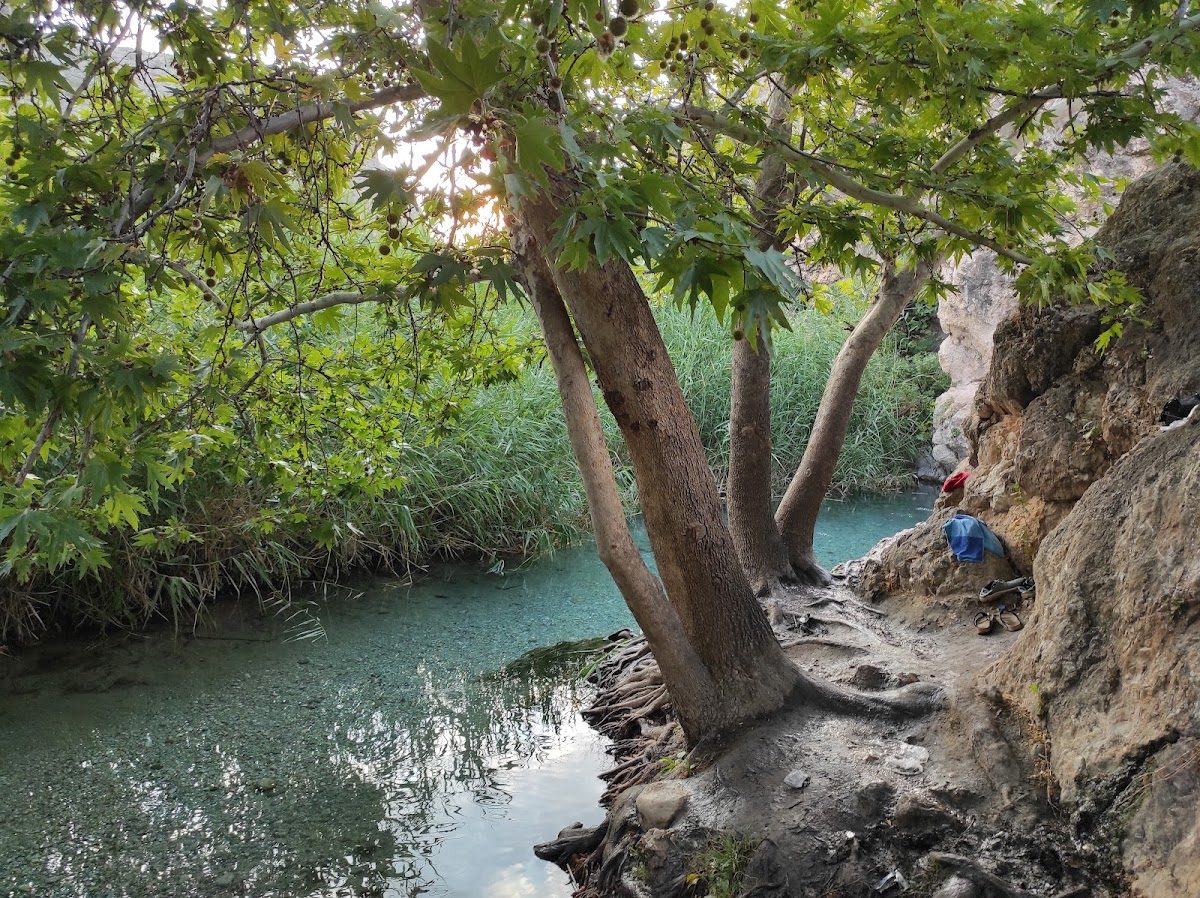 Karasu Natural Spring - 3