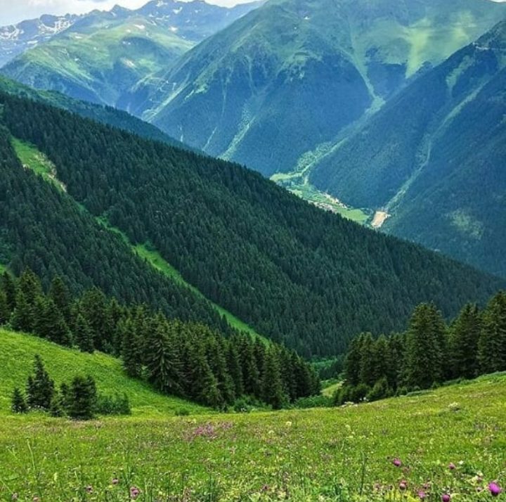 Petran Plateau