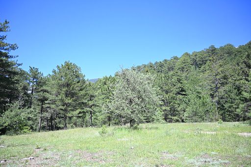 Honaz Dağı Milli Parkı - 3
