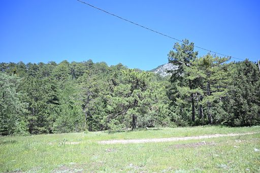 Honaz Dağı Milli Parkı - 4