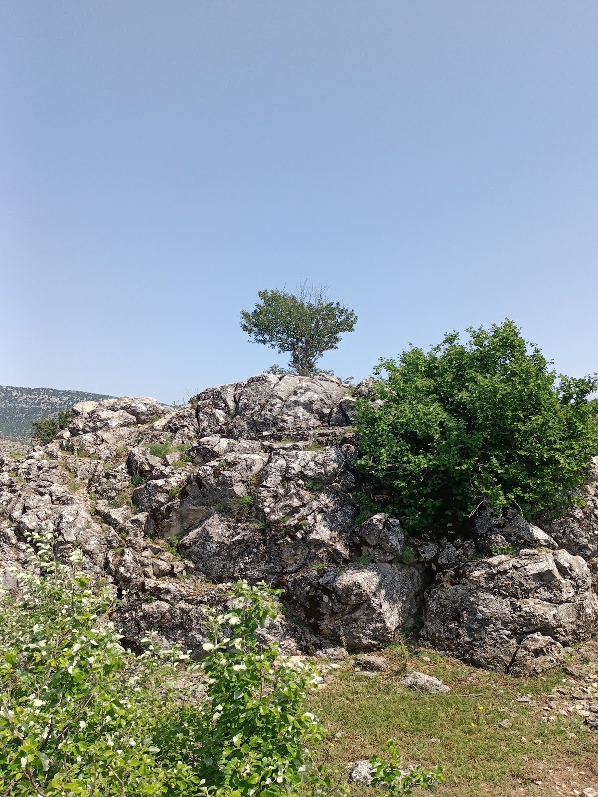 Kosurga Plateau
