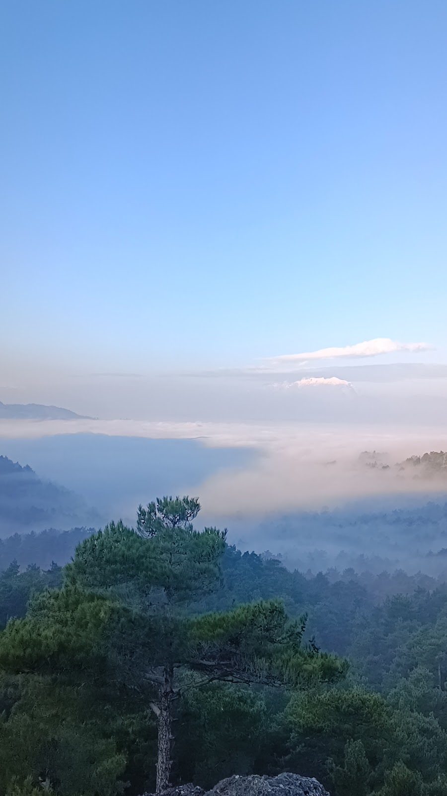 Kosurga Plateau - 3