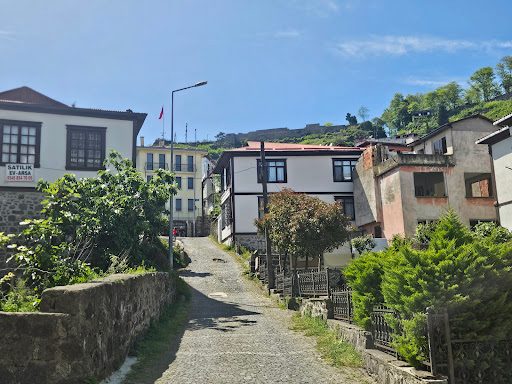 Historic Houses