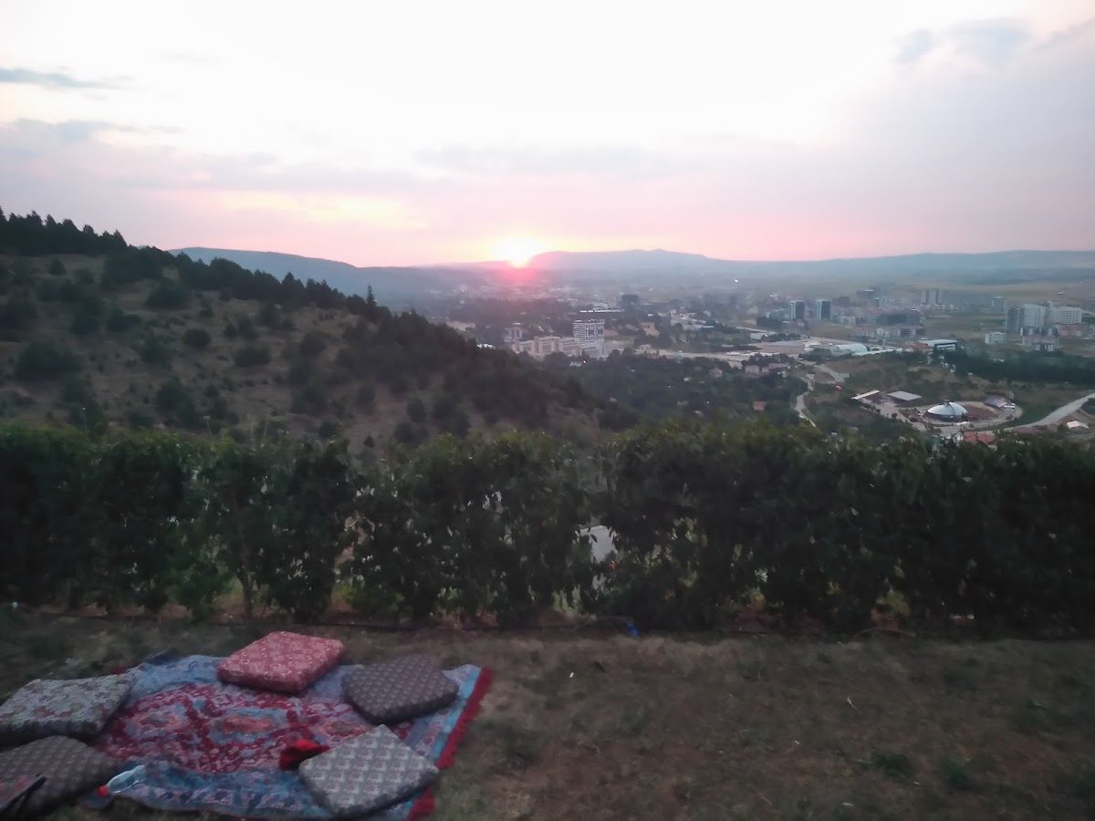Atatürk Ormanı Piknik Ve Mesire Alanı - 6