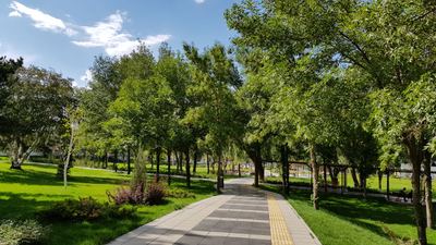 100th Year Park
