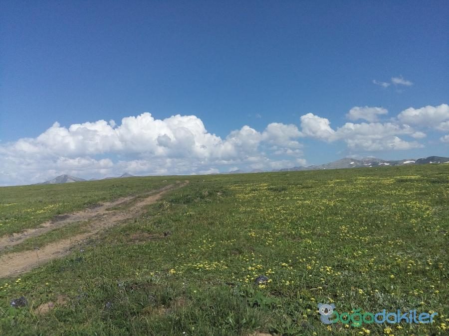 Çağrankaya Yaylası - 5
