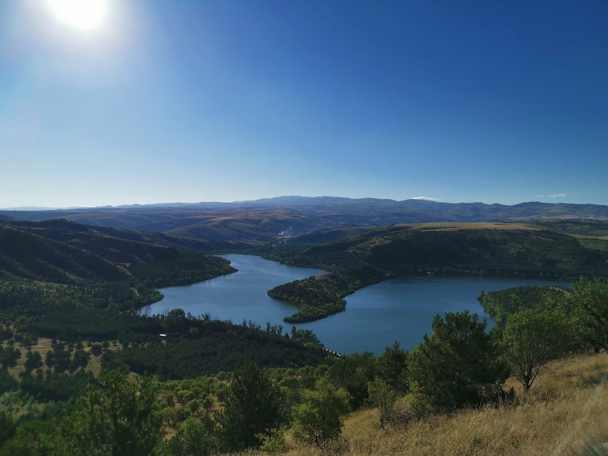 METU Forest - 3