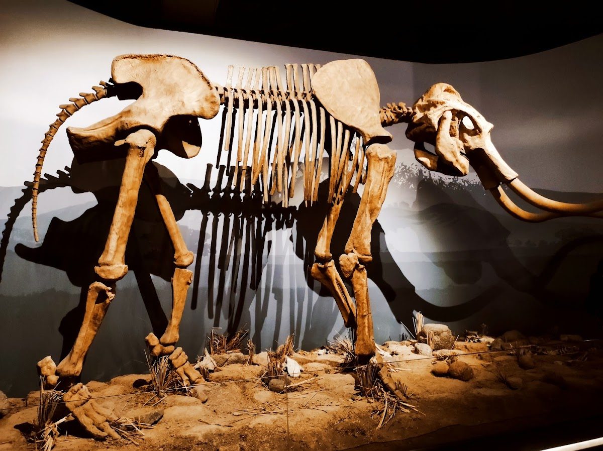 Erzurum Archaeology Museum