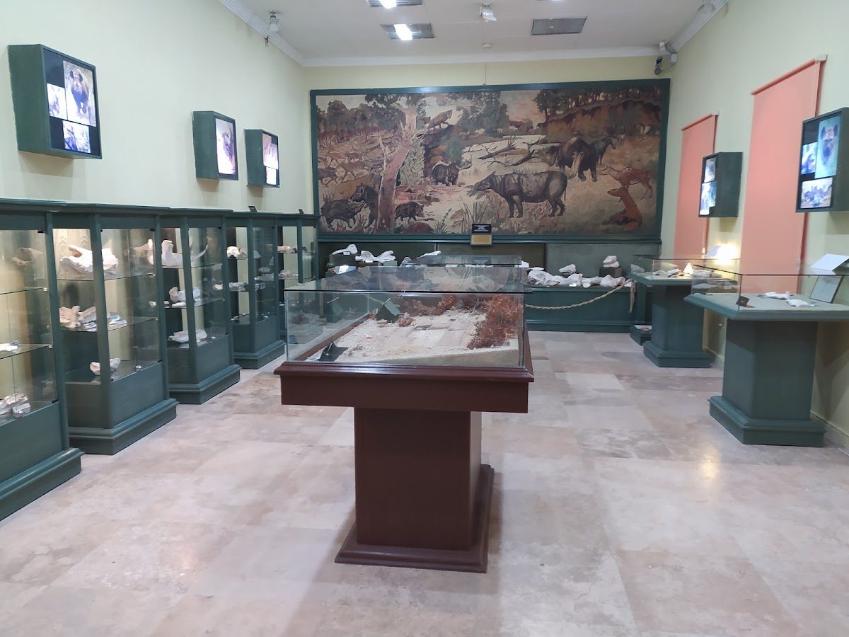 Muğla Museum - 3