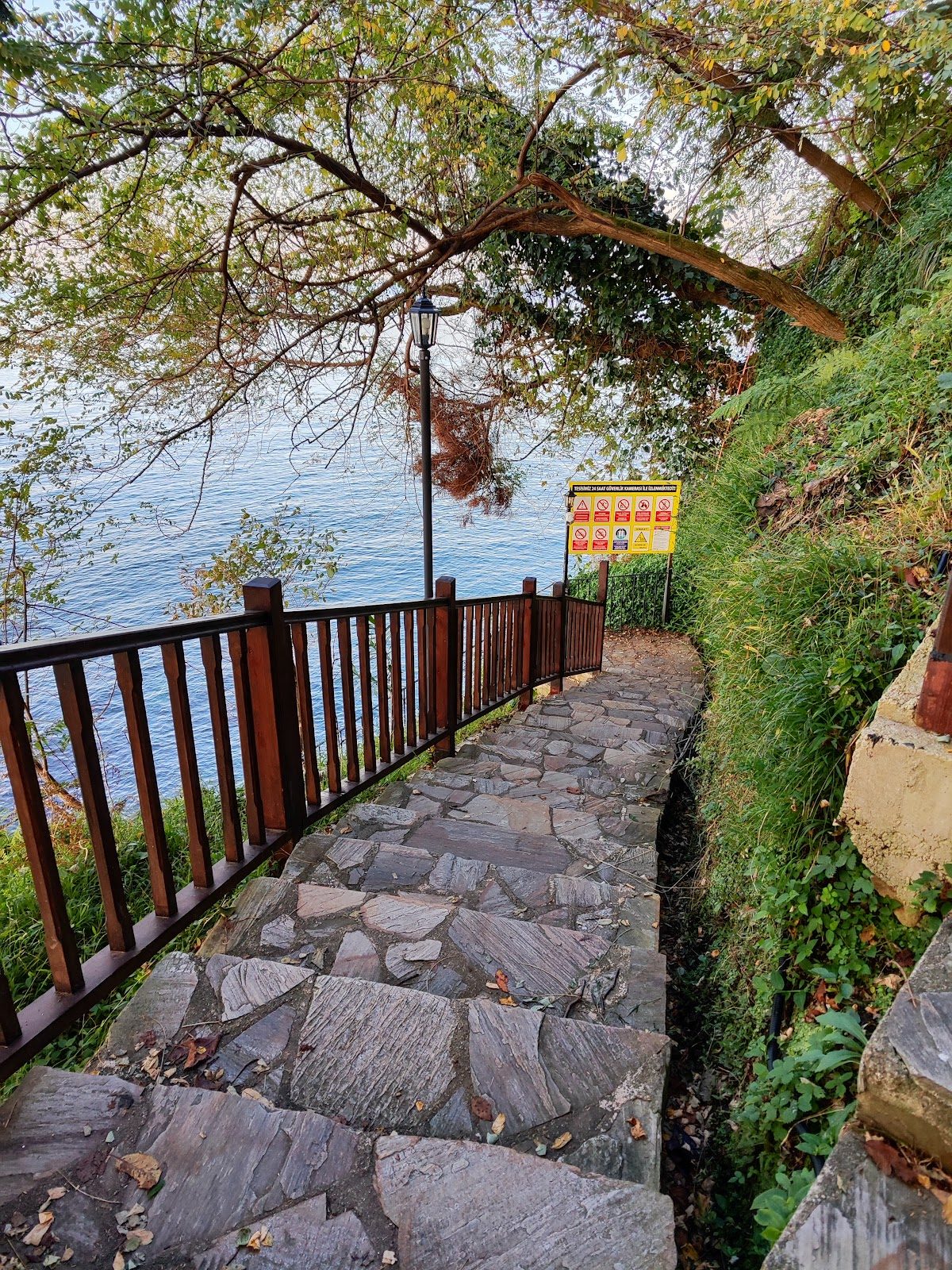 Sürmene Çamburnu Tabiatı Koruma Alanı - 3