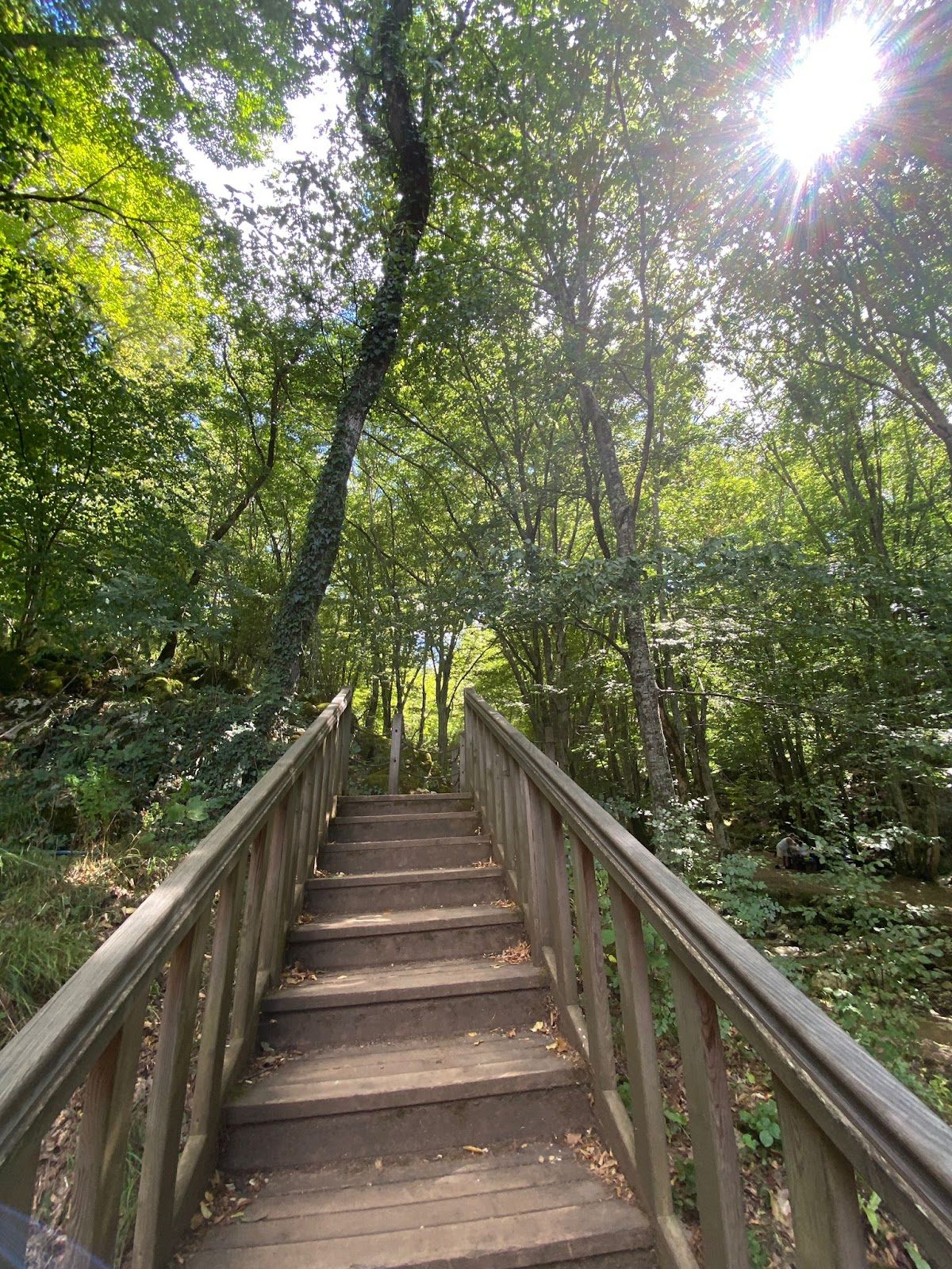İğneada Longoz Forests National Park - 5
