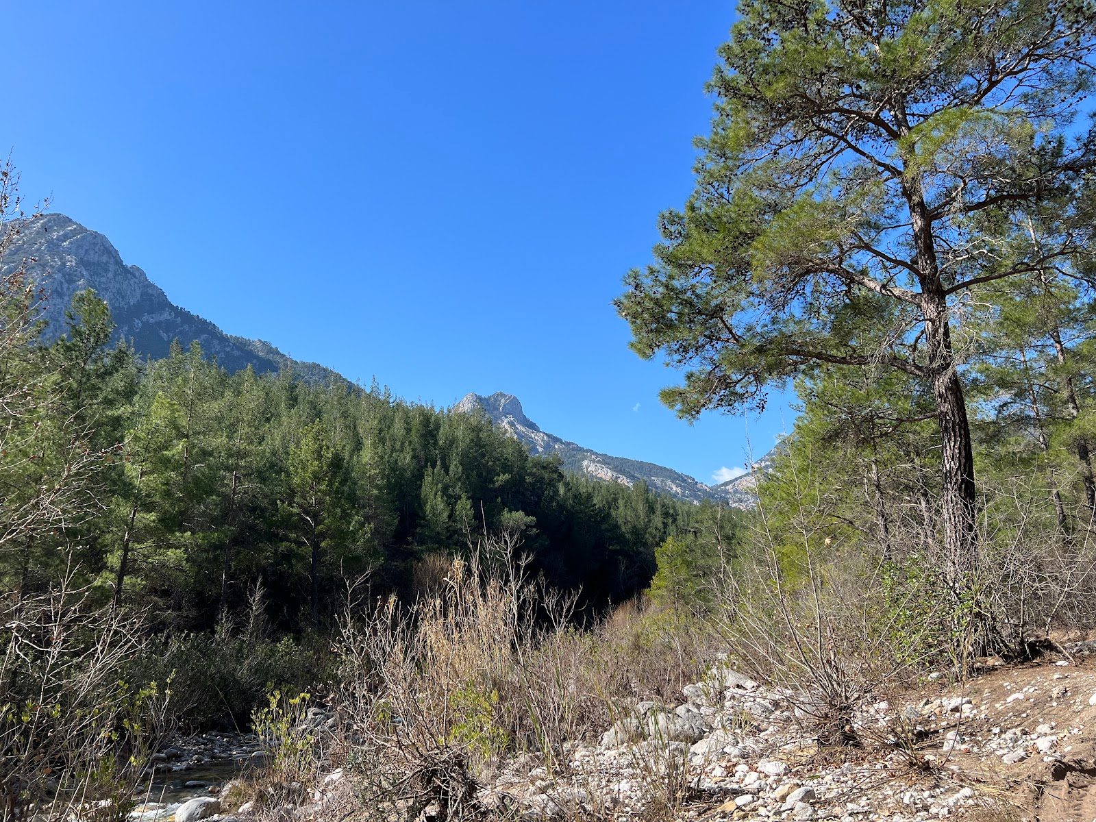 Güllük Mountain National Park - 1