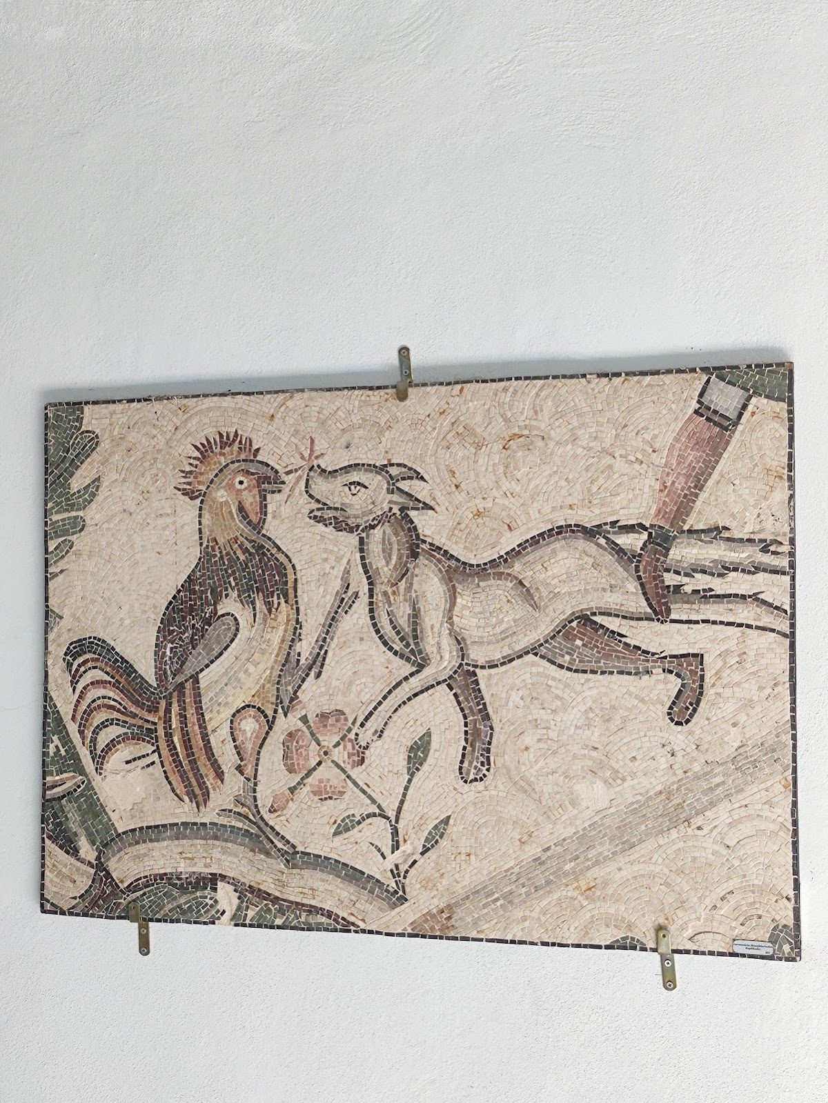 Germenicia Antik Kenti Mozaikleri - 6