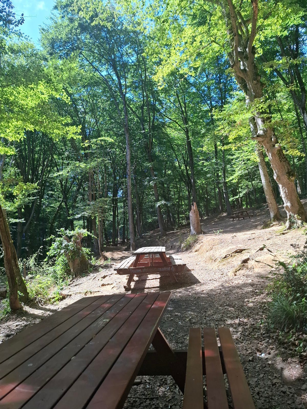 Belgrad Ormanı - 3