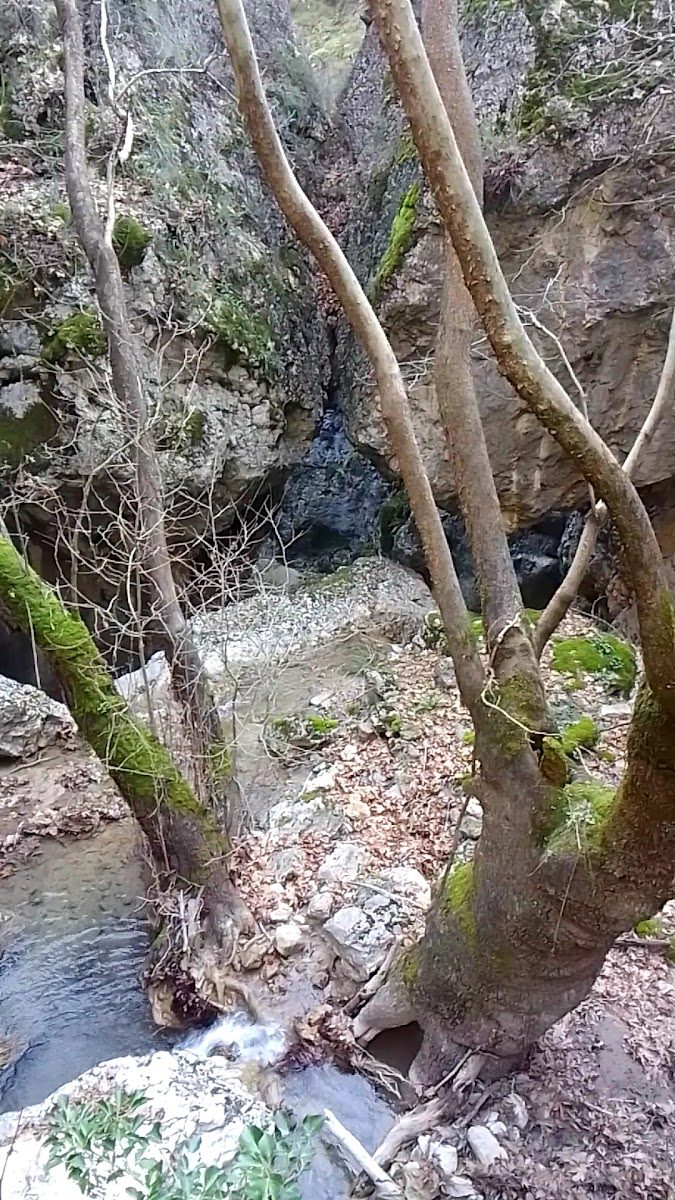 هضبة زيتين - 2