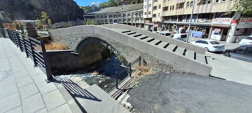 جسر تشاغلايان