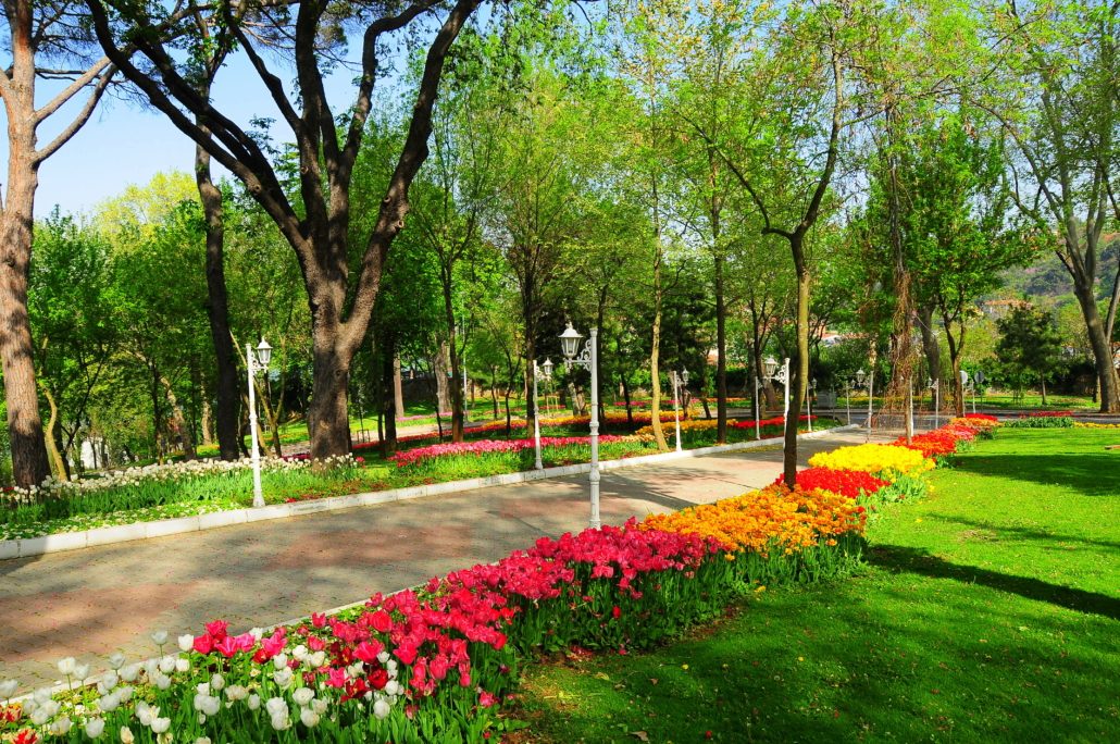 Роща Бейкоз - 5