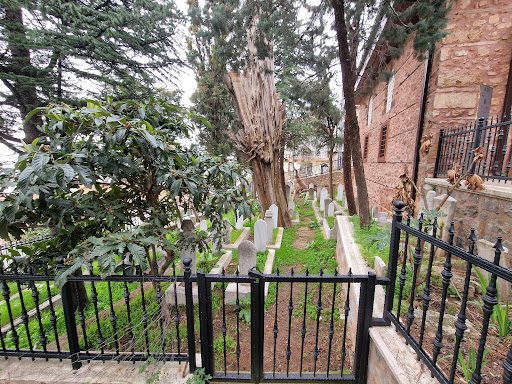 Üç Kuzular Cami - 4