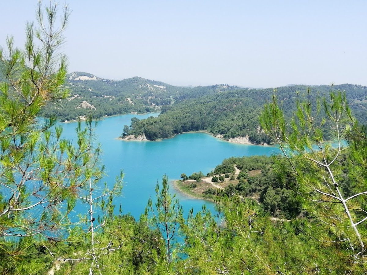 Karadenizliler Ormanı - 3