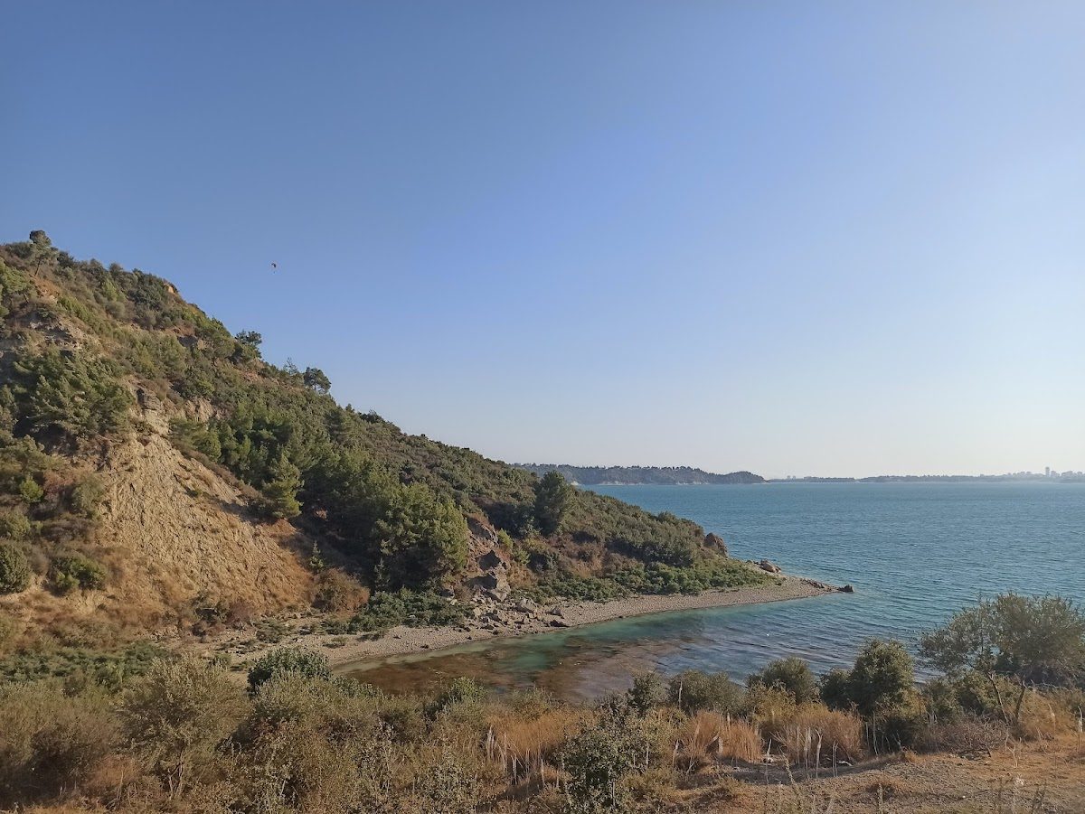 Karadenizliler Ormanı - 4